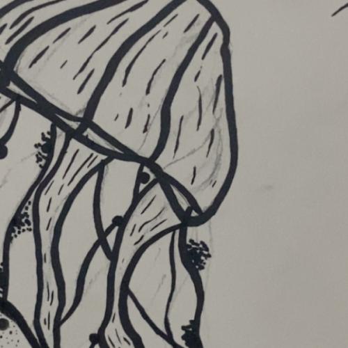 สมาชิกหมายเลข 7289308