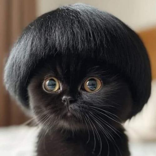 ออยชอบกินขนมมั่กๆ