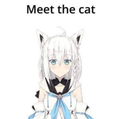 สมาชิกหมายเลข 8490965