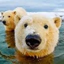 สมาชิกหมายเลข 1218586