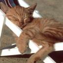 สมาชิกหมายเลข 1727625