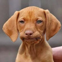 สมาชิกหมายเลข 4570885