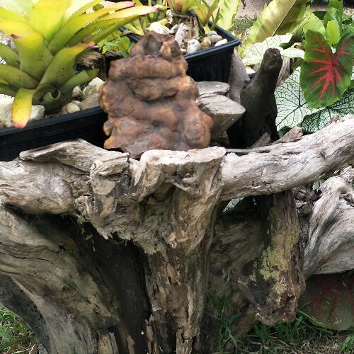 สมาชิกหมายเลข 2988040