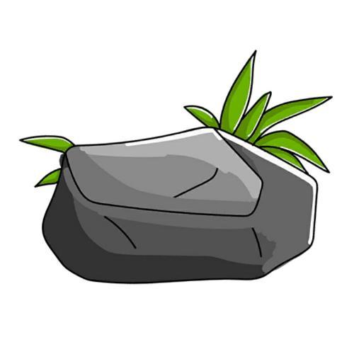 สมาชิกหมายเลข 5769529