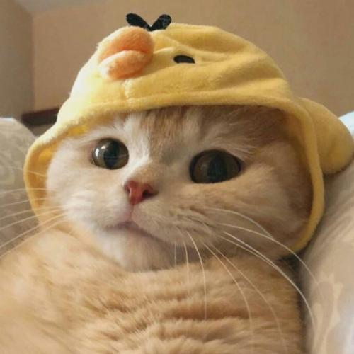 สมาชิกหมายเลข 5939302