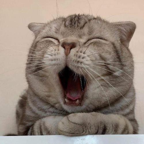 สมาชิกหมายเลข 2842734