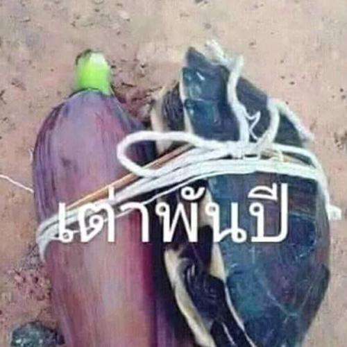 สมาชิกหมายเลข 3593961