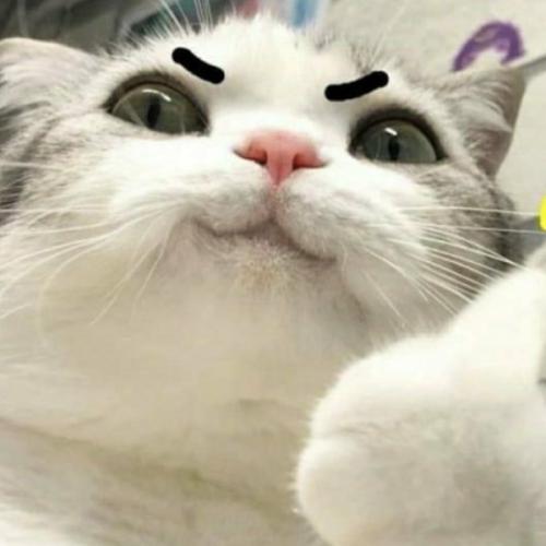 สมาชิกหมายเลข 7823537