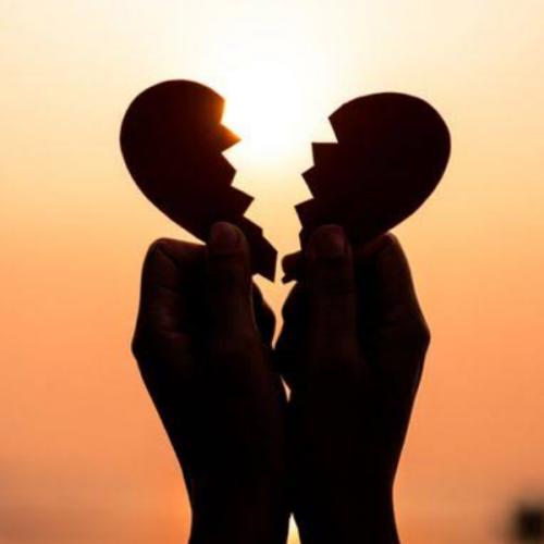 สมาชิกหมายเลข 2958195