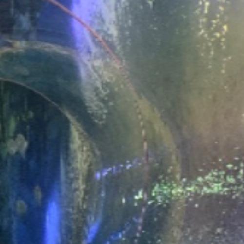 สมาชิกหมายเลข 7096111