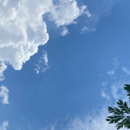 สมาชิกหมายเลข 7148307