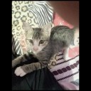 สมาชิกหมายเลข 3694821