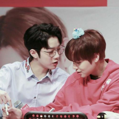 สมาชิกหมายเลข 5311185