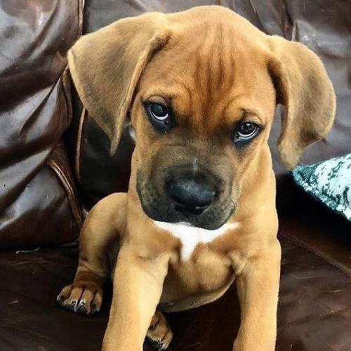 สมาชิกหมายเลข 5595851