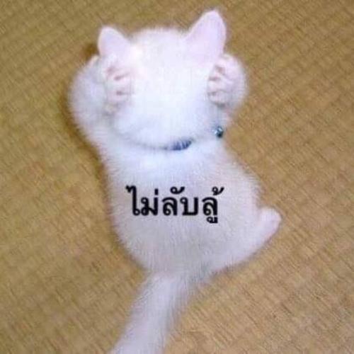 สมาชิกหมายเลข 5702807