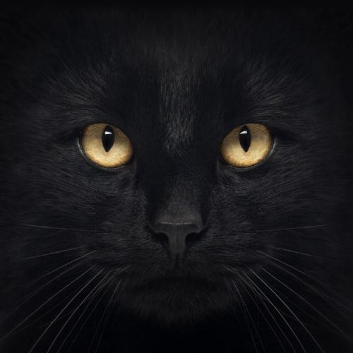 สมาชิกหมายเลข 5770380