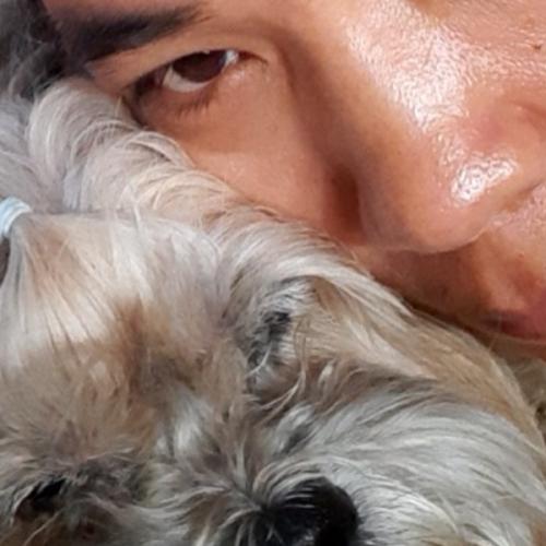 สมาชิกหมายเลข 2609342