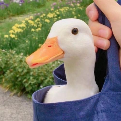 สมาชิกหมายเลข 7052091