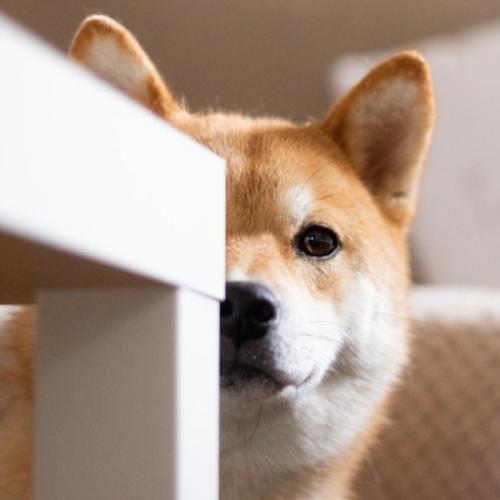 สมาชิกหมายเลข 1624457