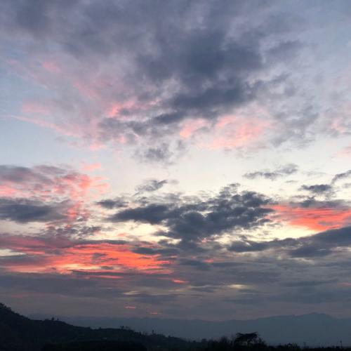 สมาชิกหมายเลข 8595449