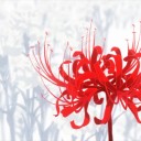 สมาชิกหมายเลข 2838093