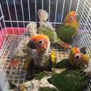 สมาชิกหมายเลข 3645855