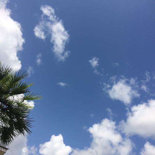 สมาชิกหมายเลข 4157034