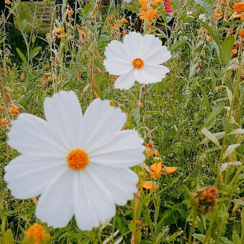 สมาชิกหมายเลข 3995060