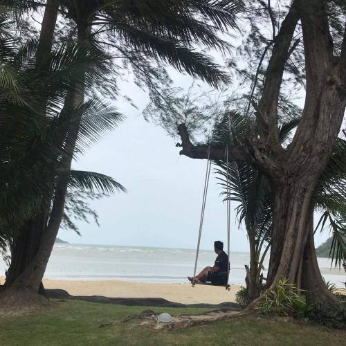 สมาชิกหมายเลข 4912923