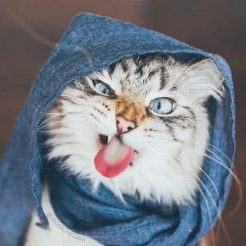 สมาชิกหมายเลข 3314224