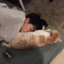 สมาชิกหมายเลข 5311544