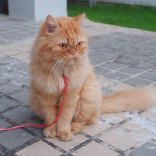 สมาชิกหมายเลข 3565457