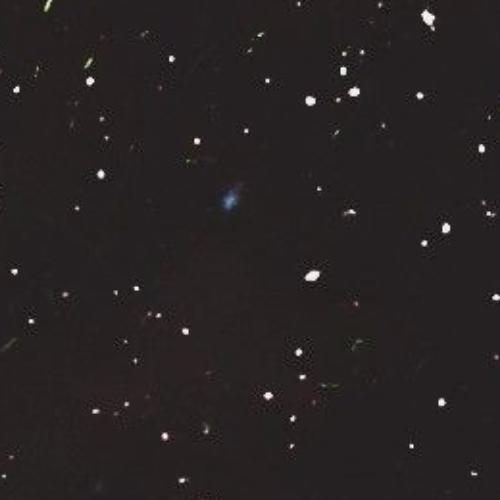 สมาชิกหมายเลข 5355851