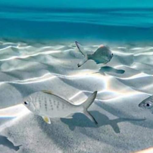 สมาชิกหมายเลข 5893296