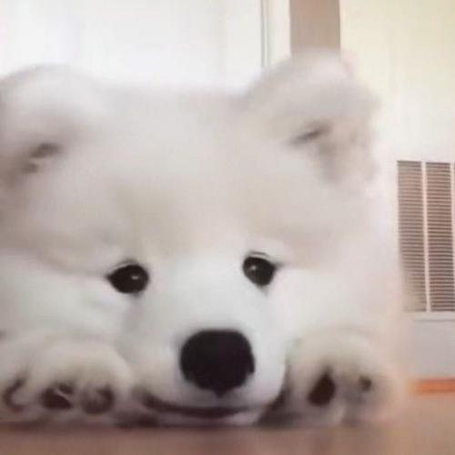 สมาชิกหมายเลข 7053103