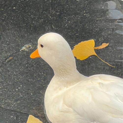 สมาชิกหมายเลข 2884511