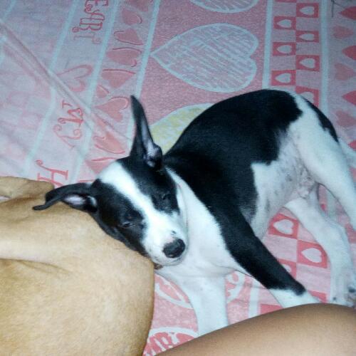 สมาชิกหมายเลข 4011707