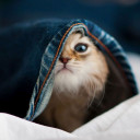 สมาชิกหมายเลข 5311899