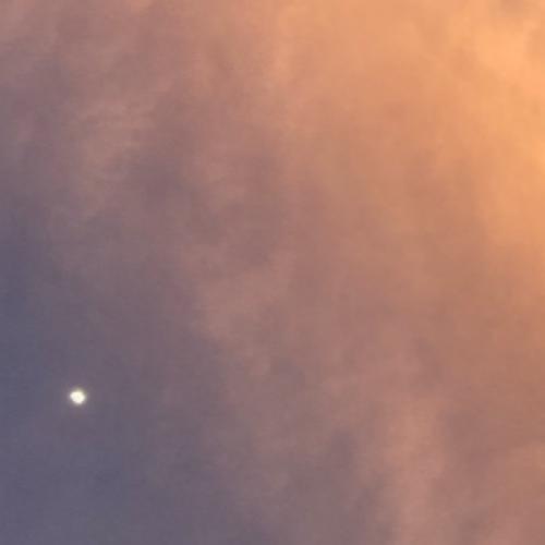 สมาชิกหมายเลข 926055