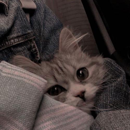 สมาชิกหมายเลข 5232480