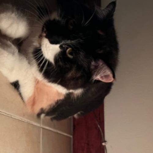 สมาชิกหมายเลข 5237760