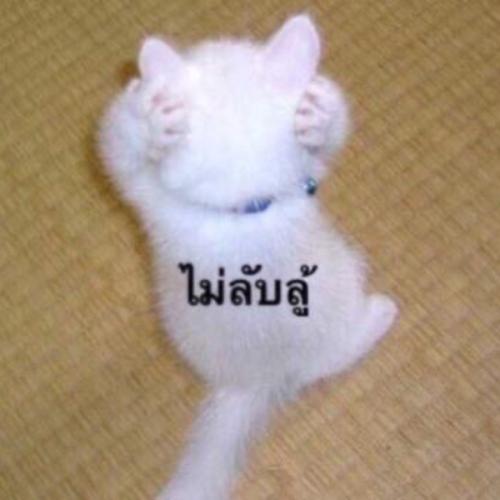 สมาชิกหมายเลข 6745330