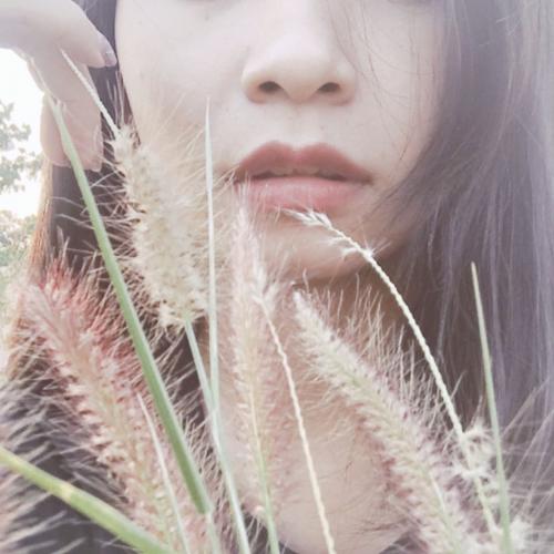 สมาชิกหมายเลข 4571951