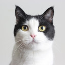 สมาชิกหมายเลข 1818468