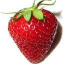 สมาชิกหมายเลข 4913620