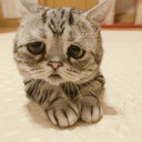 สมาชิกหมายเลข 5312527