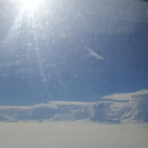 สมาชิกหมายเลข 2899891