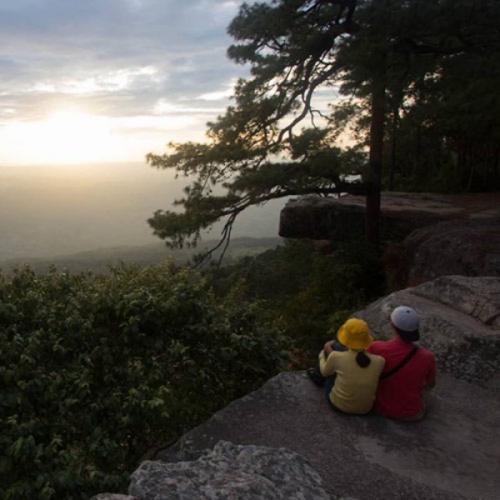 สมาชิกหมายเลข 7054429