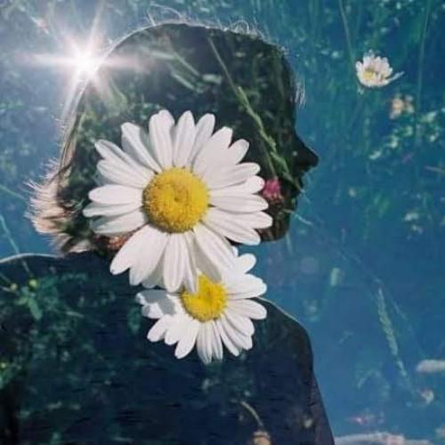 สมาชิกหมายเลข 7054621