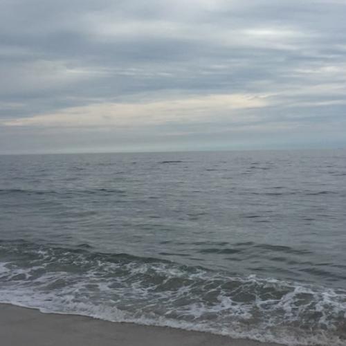 สมาชิกหมายเลข 8063589